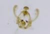 Endothenia oblongana